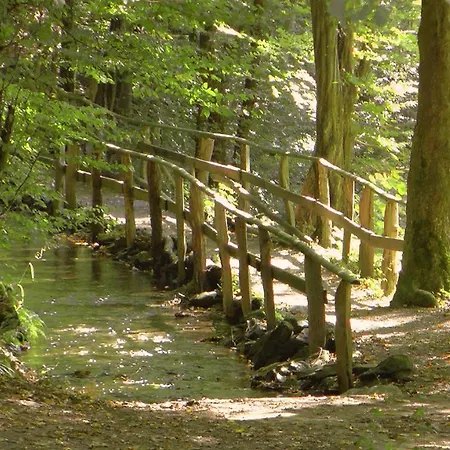 Herrenhaus Kallbach Hotel apartamentowy Hürtgenwald